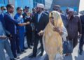 Only two FMS leaders arrive in Mogadishu as poll timeline fast lapses